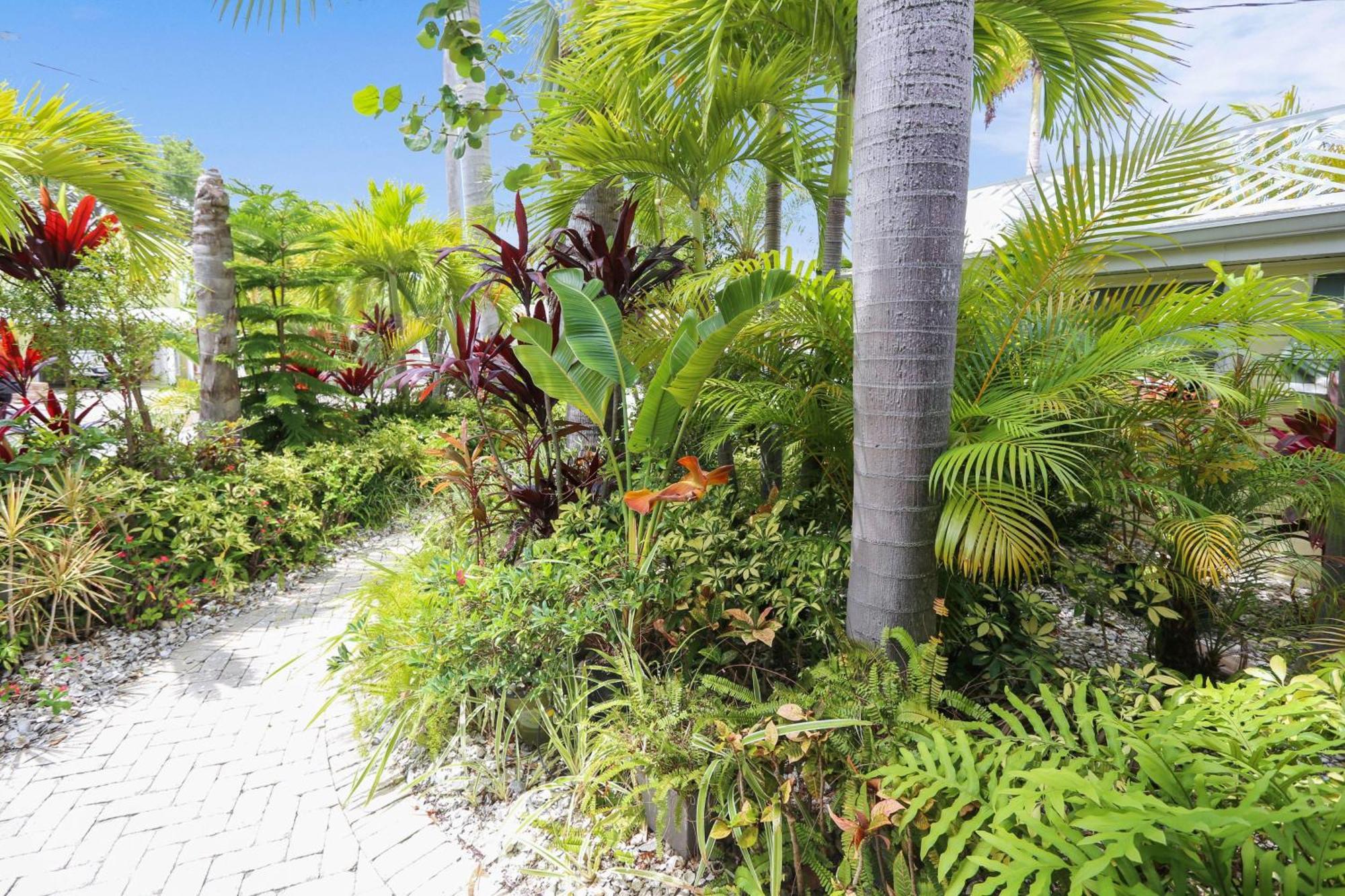 Coconut Paradise St. Pete Beach Exteriér fotografie